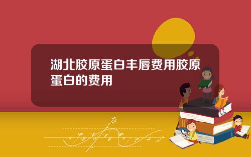 湖北胶原蛋白丰唇费用胶原蛋白的费用