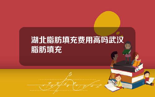 湖北脂肪填充费用高吗武汉脂肪填充