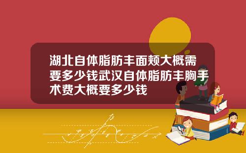 湖北自体脂肪丰面颊大概需要多少钱武汉自体脂肪丰胸手术费大概要多少钱