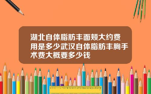 湖北自体脂肪丰面颊大约费用是多少武汉自体脂肪丰胸手术费大概要多少钱
