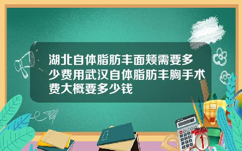 湖北自体脂肪丰面颊需要多少费用武汉自体脂肪丰胸手术费大概要多少钱