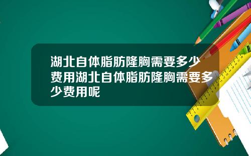 湖北自体脂肪隆胸需要多少费用湖北自体脂肪隆胸需要多少费用呢