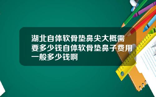 湖北自体软骨垫鼻尖大概需要多少钱自体软骨垫鼻子费用一般多少钱啊