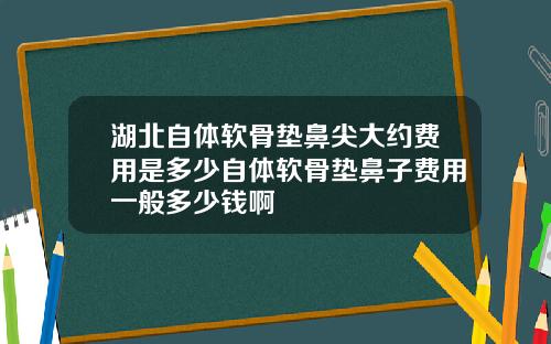 湖北自体软骨垫鼻尖大约费用是多少自体软骨垫鼻子费用一般多少钱啊