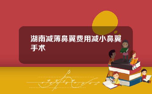 湖南减薄鼻翼费用减小鼻翼手术