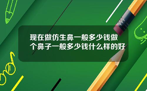 现在做仿生鼻一般多少钱做个鼻子一般多少钱什么样的好