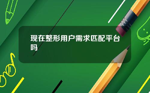 现在整形用户需求匹配平台吗