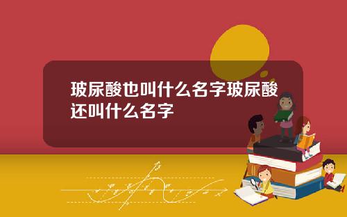 玻尿酸也叫什么名字玻尿酸还叫什么名字