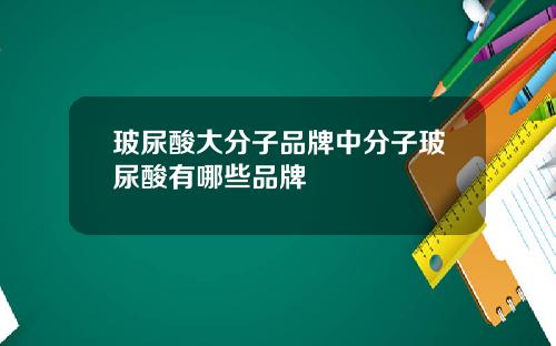 玻尿酸大分子品牌中分子玻尿酸有哪些品牌