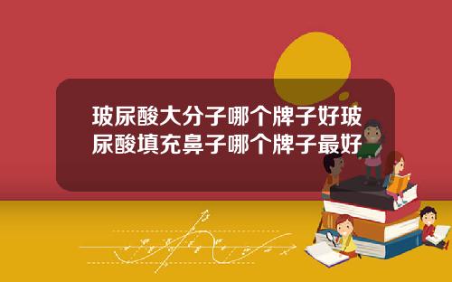 玻尿酸大分子哪个牌子好玻尿酸填充鼻子哪个牌子最好