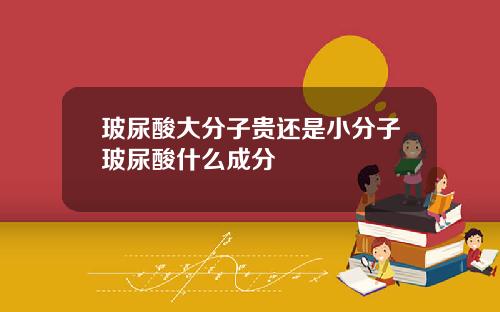 玻尿酸大分子贵还是小分子玻尿酸什么成分