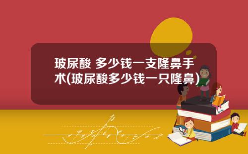 玻尿酸 多少钱一支隆鼻手术(玻尿酸多少钱一只隆鼻)