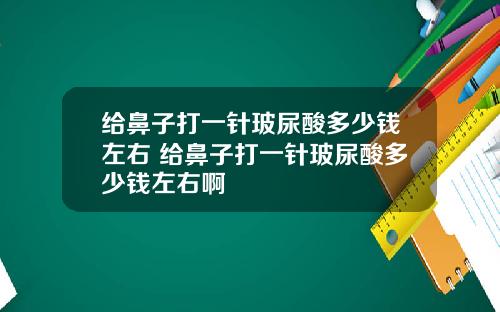 给鼻子打一针玻尿酸多少钱左右 给鼻子打一针玻尿酸多少钱左右啊