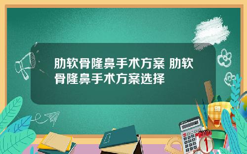 肋软骨隆鼻手术方案 肋软骨隆鼻手术方案选择