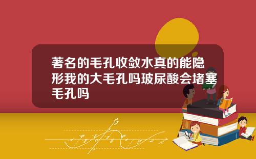 著名的毛孔收敛水真的能隐形我的大毛孔吗玻尿酸会堵塞毛孔吗