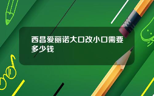 西昌爱丽诺大口改小口需要多少钱