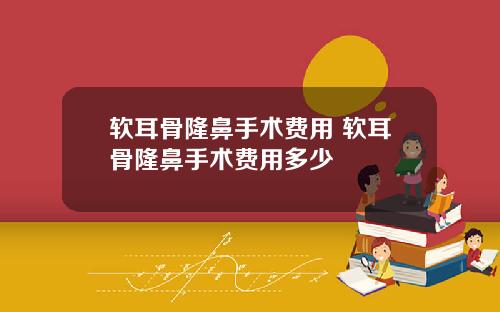 软耳骨隆鼻手术费用 软耳骨隆鼻手术费用多少