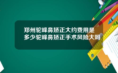 郑州驼峰鼻矫正大约费用是多少驼峰鼻矫正手术风险大吗