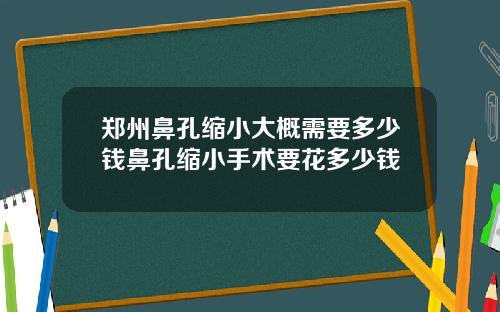 郑州鼻孔缩小大概需要多少钱鼻孔缩小手术要花多少钱