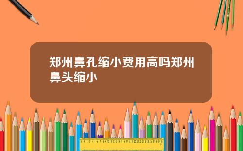 郑州鼻孔缩小费用高吗郑州鼻头缩小