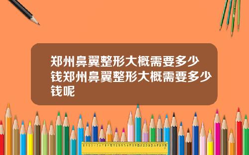 郑州鼻翼整形大概需要多少钱郑州鼻翼整形大概需要多少钱呢