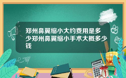 郑州鼻翼缩小大约费用是多少郑州鼻翼缩小手术大概多少钱