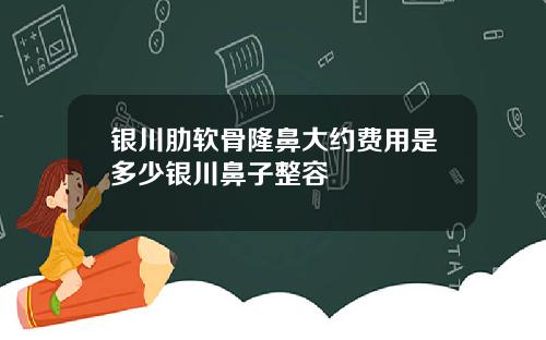 银川肋软骨隆鼻大约费用是多少银川鼻子整容