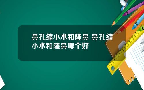 鼻孔缩小术和隆鼻 鼻孔缩小术和隆鼻哪个好