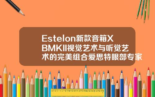 Estelon新款音箱XBMKII视觉艺术与听觉艺术的完美组合爱思特眼部专家有哪些品牌