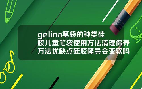 gelina笔袋的种类硅胶儿童笔袋使用方法清理保养方法优缺点硅胶隆鼻会变软吗