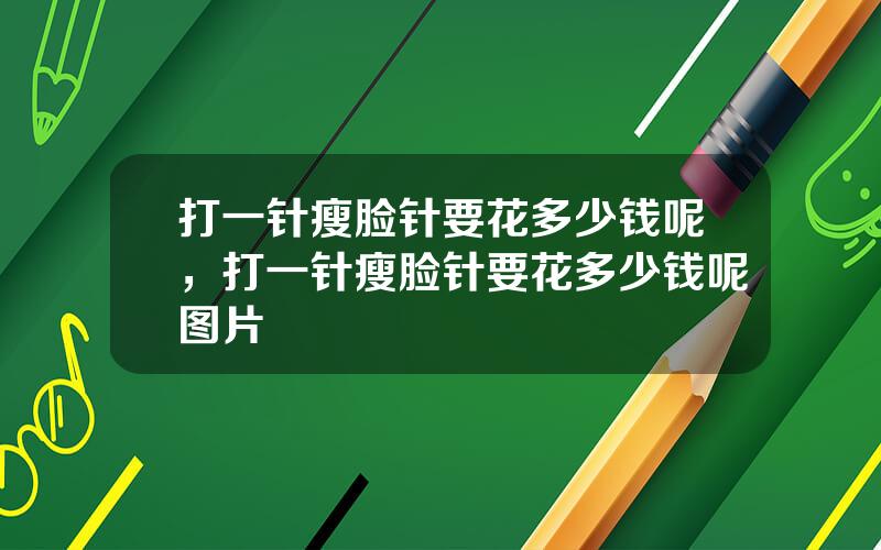 打一针瘦脸针要花多少钱呢，打一针瘦脸针要花多少钱呢图片