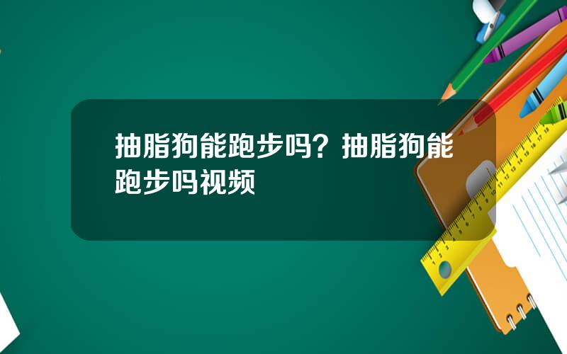 抽脂狗能跑步吗？抽脂狗能跑步吗视频