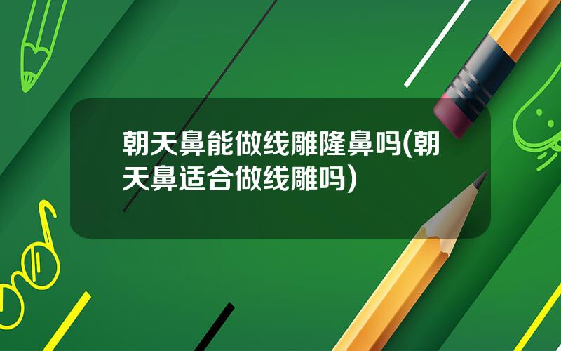 朝天鼻能做线雕隆鼻吗(朝天鼻适合做线雕吗)