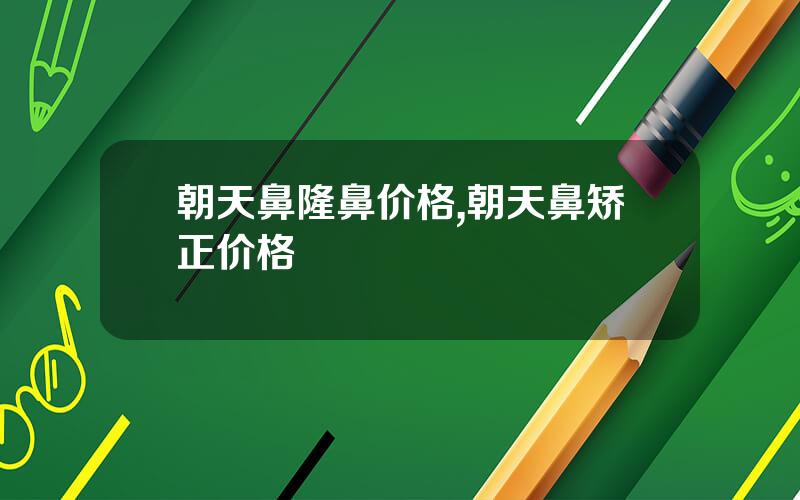 朝天鼻隆鼻价格,朝天鼻矫正价格