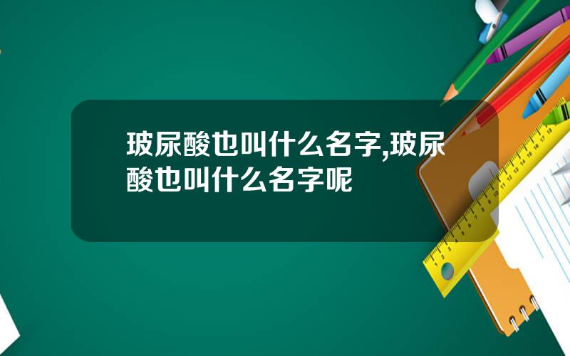 玻尿酸也叫什么名字,玻尿酸也叫什么名字呢