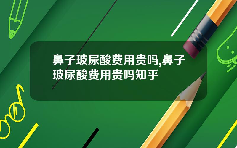 鼻子玻尿酸费用贵吗,鼻子玻尿酸费用贵吗知乎