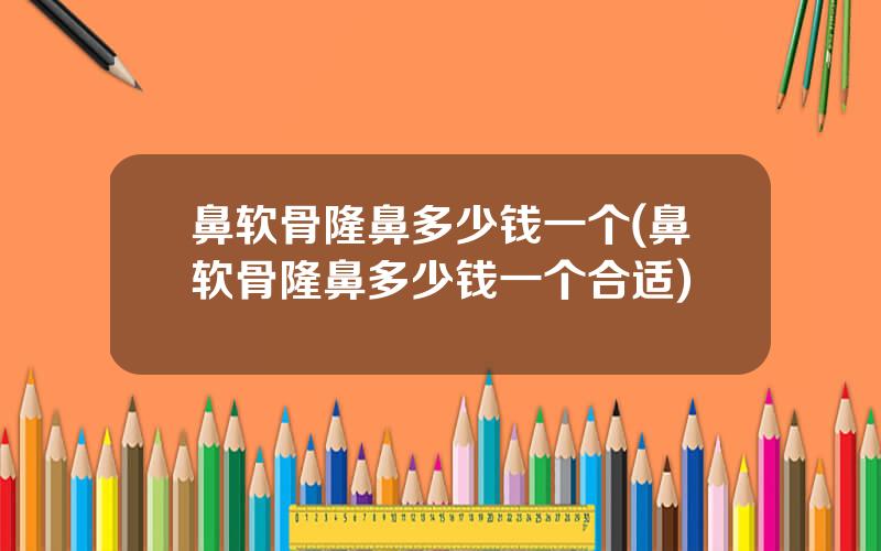 鼻软骨隆鼻多少钱一个(鼻软骨隆鼻多少钱一个合适)
